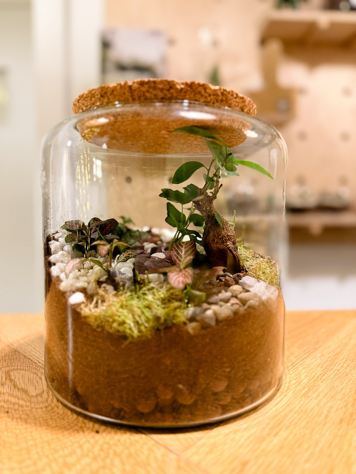 Terrarium Workshop - Minimal Vase & Humidity Plants - 19th October 2025