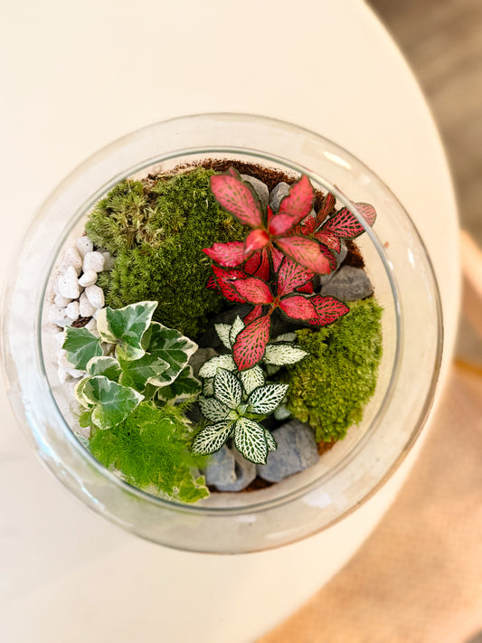 Terrarium Workshop - Minimal Vase & Humidity Plants - 19th October 2025