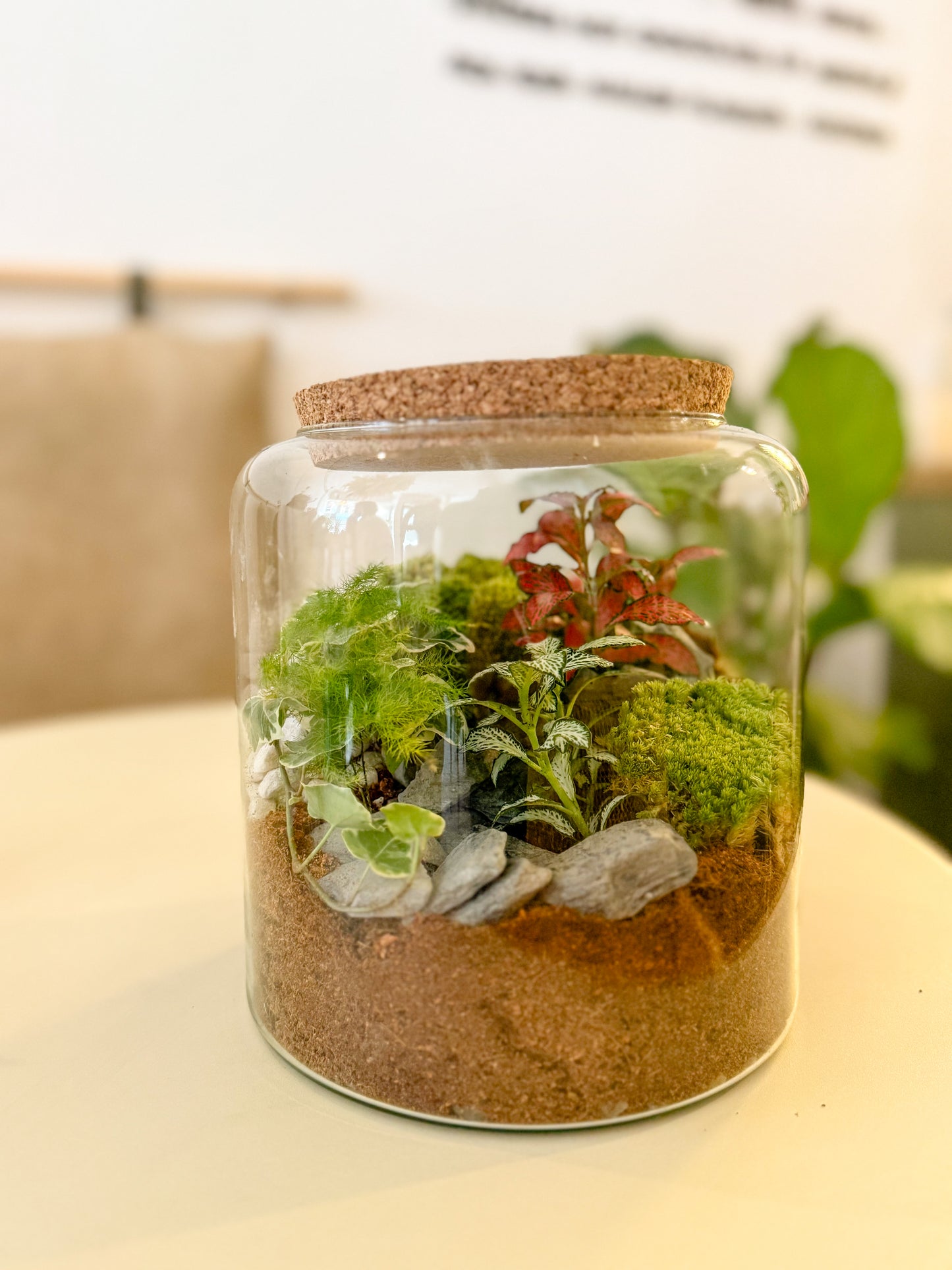 Terrarium Workshop - Minimal Vase - 8th February 2026