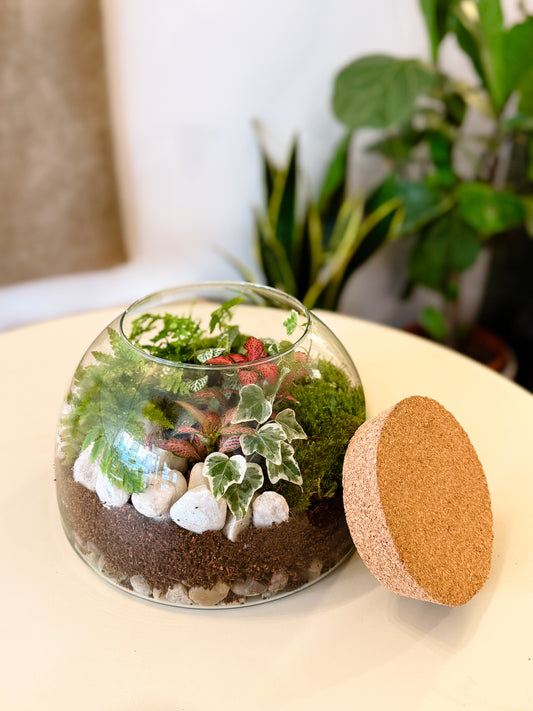 Terrarium Workshop - Hemisphere & Humidity Plants - 12th October 2025